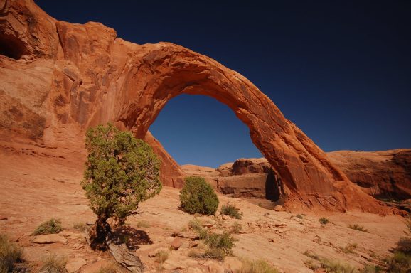 Richard Espertshuber: Corona Arch